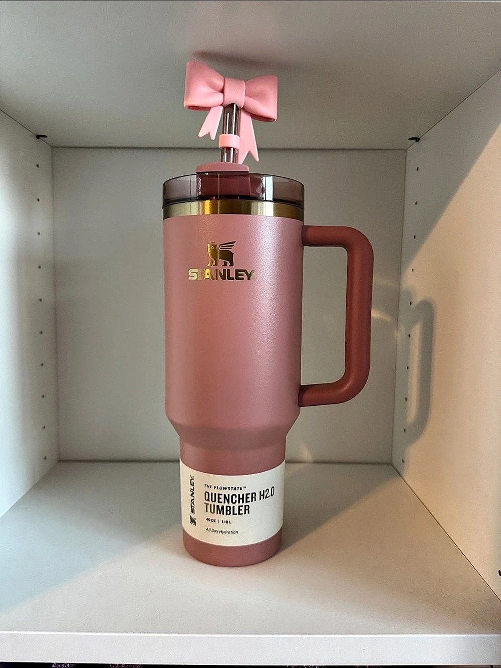 NMT Stanley Quencher H2.0 FlowState Tumbler blush pink